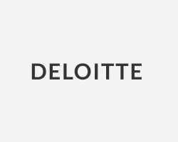 carousel-company-Deloitte